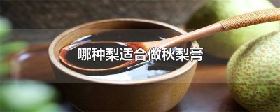 ​哪种秋梨适合做秋梨膏 自己做秋梨膏用什么梨