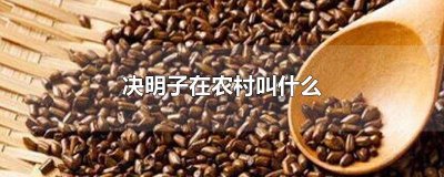 ​决明子有啥 决明子是干啥的