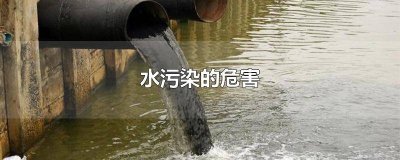 ​关于水污染的论文题目 水污染的议论文