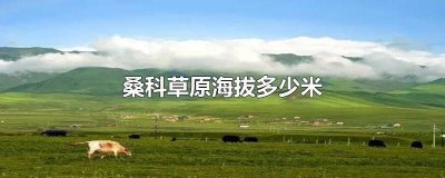 ​甘南草原海拔多少米 甘南草原海拔多少米高