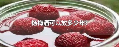 ​杨梅酒能放几年还能喝 杨梅酒能放几年喝吗