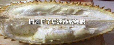 ​榴莲打开后还能放熟吗 榴莲开了还可以放熟吗