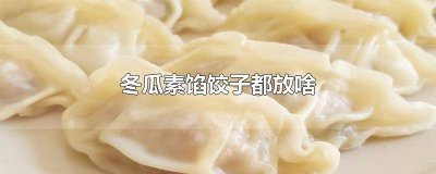 ​冬瓜素馅儿饺子怎么做 冬瓜饺子馅怎么做好吃素馅