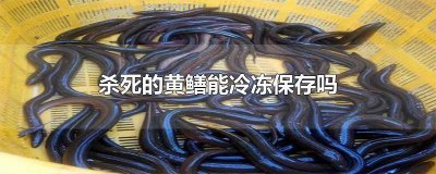 ​黄鳝能冰冻吗 活黄鳝可以放冰箱冷冻吗