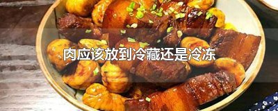 ​肉放在冷冻还是冷藏 肉是放在冷藏还是冷冻