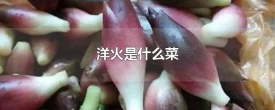 ​上海菜开洋是什么 开洋配什么菜好