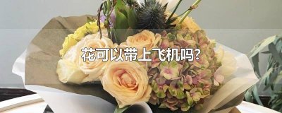 ​花可以带上飞机吗? 玫瑰花可以带上飞机吗