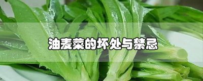 ​油麦菜的功效和禁忌十大致癌蔬菜 油麦菜宜忌