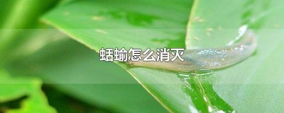 ​蛴螬用什么药防治 蠼螋用什么药防治