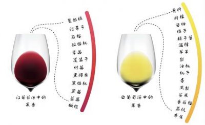 ​人参和什么泡酒喝好？人参和什么泡酒喝最好