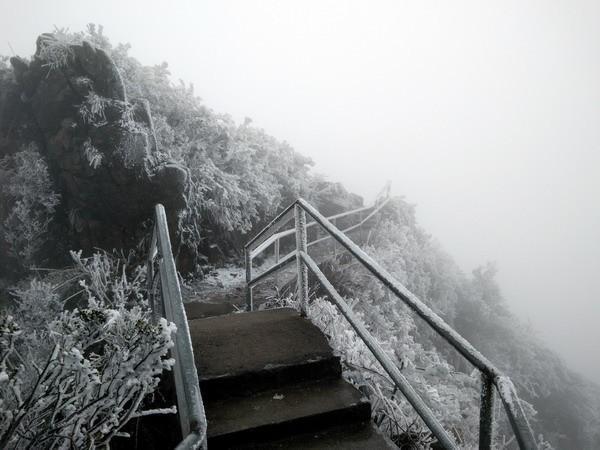 广东金子山变为冰雪童话世界，最佳赏雪时间在这三天