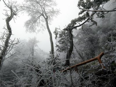 ​广东金子山变为冰雪童话世界，最佳赏雪时间在这三天