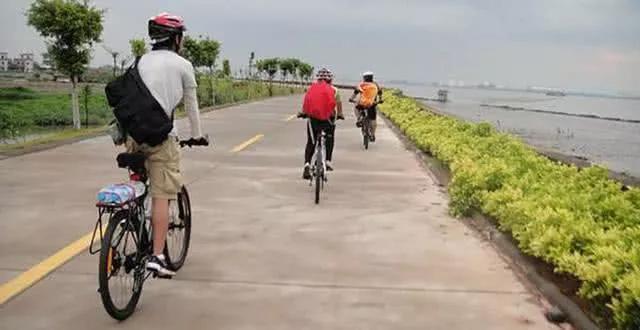 海鸥岛，一个没有海鸥的美丽地方