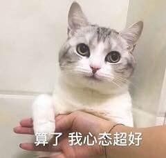 一组猫咪萌宠表情包，我会有猫的