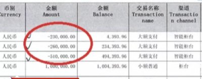 ​男子榨干母亲200万积蓄后又诈骗近千万，钱款均被挥霍