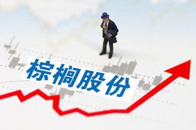 ​棕榈股份：基本面挑战与市场机遇并存，投资潜力值得关注