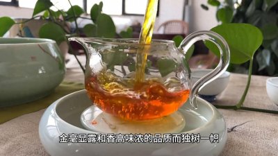 云南红茶,滇红茶简介
