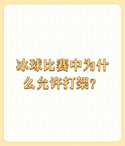 冰球比赛中为什么允许打架?