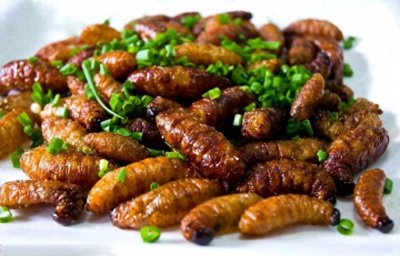 炸至两面金黄的“竹虫”,吃过永生难忘,你吃过吗?