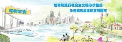 2017宝安马拉松明天开始报名!规模扩至20000人