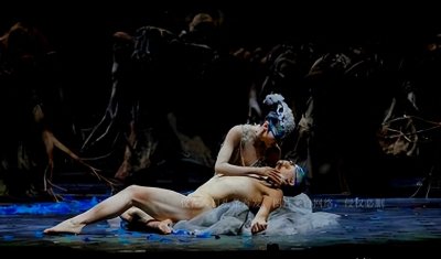 孔雀看了都脸红,杨丽萍孔雀舞穿底裤表演