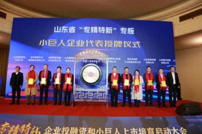 齐鲁股交:用实力筑牢资本市场“塔基”