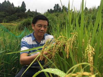 省科技特派员叶明儿:10年扎根大山只为村民致富