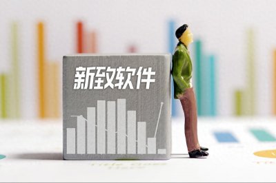 新致软件:引领IT服务创新的先锋
