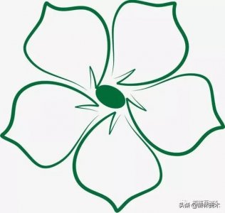 简笔画花,从线条到成品,你一定会喜欢(附教程)