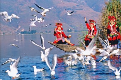 民族团结进步创建的“石屏探索”