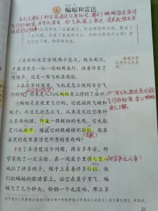 横七竖八的近义词(部编小学语文四年级上册第六课《夜间飞行的秘密》预习指导)