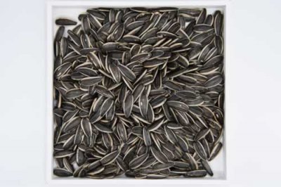 葵花籽 真没想到葵花籽的营养那么丰富!