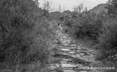 马致远是哪个朝代的人(介绍马致远是生平事迹和经历)