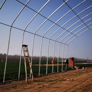 新型养殖大棚价格(新型养殖大棚材料)