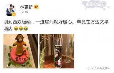 王思聪和林更新最近情况(王思聪回应与林更新关系)