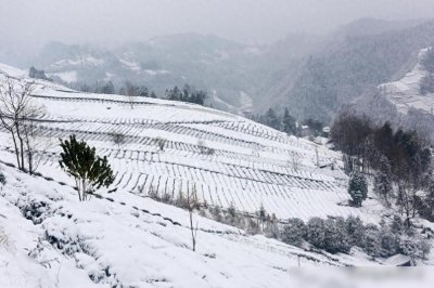 今冬数九时间表来了,哪天入九,哪天出九?春节是几九,冷吗?