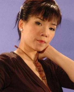 韩宝仪个人资料