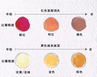 如何判断葡萄酒的品质(如何判断葡萄酒好坏)