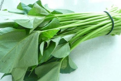 红薯叶子有什么功效和作用,地瓜叶的功效与作用有哪些?