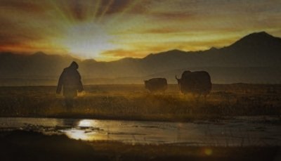 大器晚成:少年得志的陷阱与人生真谛的探索