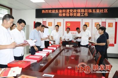 平舆县东皇街道:逐村观摩促提升 整乡推进谋发展