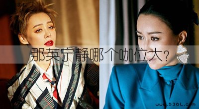 那英宁静哪个咖位大?那英宁静谁地位高