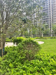 身为官职人员不是色字当头,就是权字当头。有的还是权、色两不误