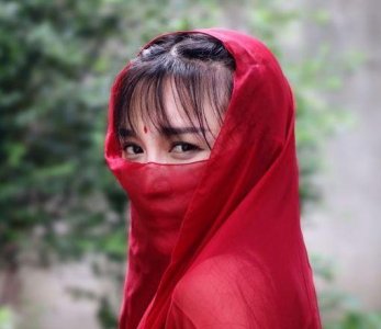 李子柒的后院曝光,看清她种植的食材,网友:向往的生活!