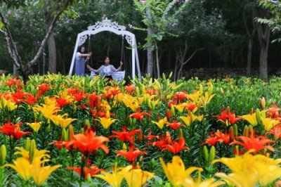 七夕怎么过?红叶谷这份优惠攻略请收下