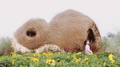 神秘又有安全感!重庆这所高校打造的“树洞”斩获国际建造双一等奖