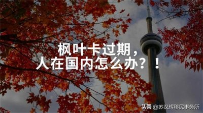 枫叶卡过期,人在国内怎么办?!之PRTD