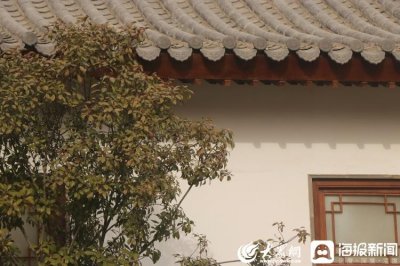 组图丨邂逅古色古香的梁山春园