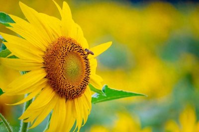 男人五十岁以后,还会对外面女人动心吗