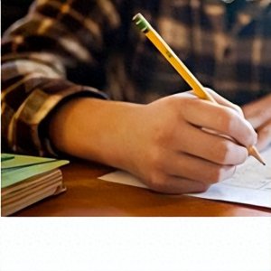 公务员年终个人工作总结